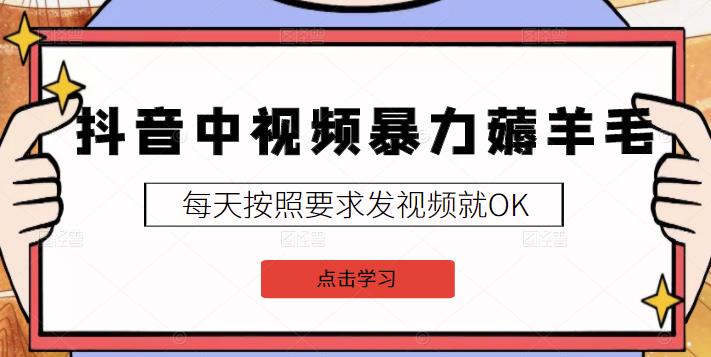 2022抖音中视频暴力薅羊毛白嫖项目：新号每天20块，老号几天几百块，可多号￼-识享社