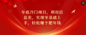 年底冷门项目，利用信息差，实现零基础上手，轻松赚个肥年钱【揭秘】-识享社