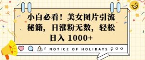 小白必看,美女图片引流秘籍,日涨粉无数,轻松日入几张【揭秘】-识享社