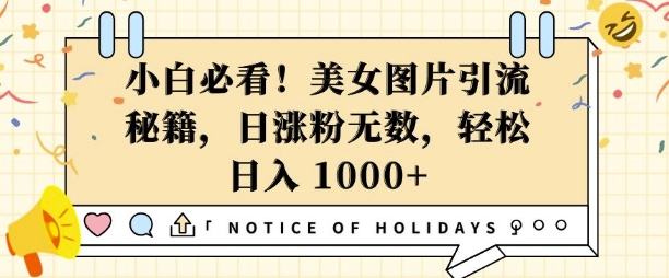小白必看,美女图片引流秘籍,日涨粉无数,轻松日入几张【揭秘】-识享社