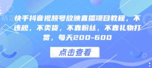 快手抖音视频号放映直播项目教程，不违规，不卖货，不靠粉丝，不靠礼物打赏，每天200-600-识享社