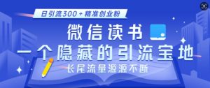 微信读书，一个隐藏的引流宝地，不为人知的小众打法，日引流300+精准创业粉，长尾流量源源不断-识享社