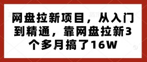 网盘拉新项目,从入门到精通,靠网盘拉新3个多月搞了16W-识享社