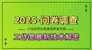 2025问卷调查最新工作室技术解密:一个人在家也可以闷声发大财,小白一天2张,可矩阵放大【揭秘】-识享社