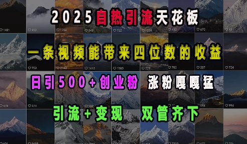 2025自热引流天花板，一条视频能带来四位数的收益，引流+变现双管齐下，日引500+创业粉，涨粉嘎嘎猛-识享社