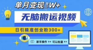 无脑搬运视频号可批量复制,新手即可操作,日引精准创业粉300+,月变现过W 【揭秘】-识享社