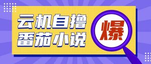 首发云手机自撸小说玩法，10块钱成本可撸200+收益操作简单【揭秘】-识享社