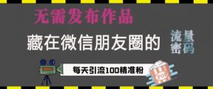 藏在微信朋友圈的流量密码,无需发布作品,单日引流100+精准创业粉【揭秘】-识享社