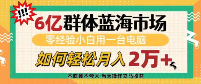 6亿群体蓝海市场，零经验小白用一台电脑，如何轻松月入过w【揭秘】-识享社
