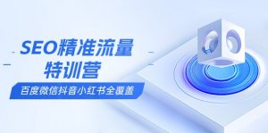 SEO精准流量特训营,百度微信抖音小红书全覆盖,带你搞懂搜索优化核心技巧-识享社