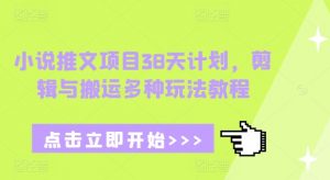 小说推文项目38天计划,剪辑与搬运多种玩法教程-识享社