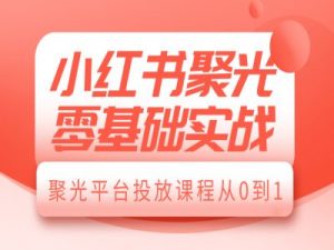 小红书聚光零基础实战,聚光平台投放课程从0到1-识享社