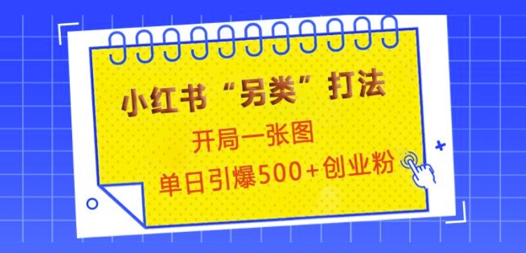 小红书“另类”打法，开局一张图，单日引爆500+精准创业粉【揭秘】-识享社