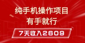 纯手机操作的小项目,有手就能做,7天收入2609+实操教程【揭秘】-识享社