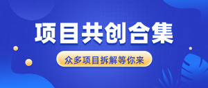 项目共创合集，从0-1全过程拆解，让你迅速找到适合自已的项目-识享社