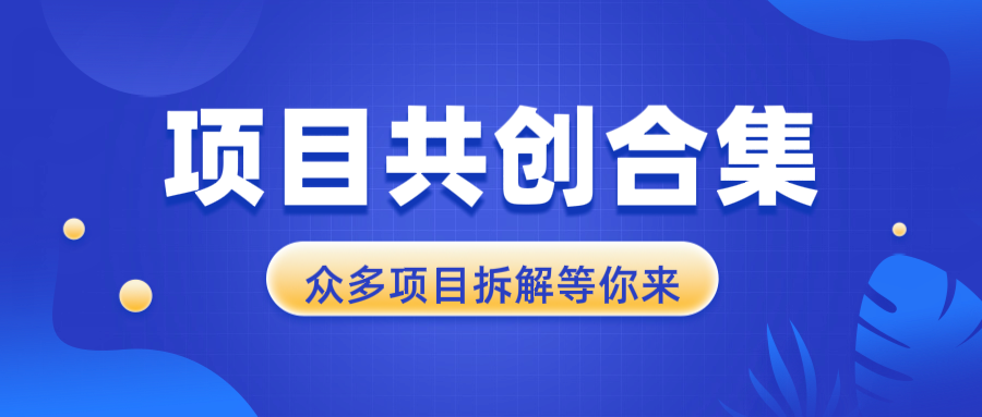 项目共创合集，从0-1全过程拆解，让你迅速找到适合自已的项目-识享社
