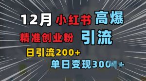小红书一张图片“引爆”创业粉,单日+200+精准创业粉 可筛选付费意识创业粉【揭秘】-识享社