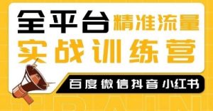 全平台精准流量实战训练营,百度微信抖音小红书SEO引流教程-识享社