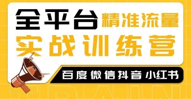 全平台精准流量实战训练营,百度微信抖音小红书SEO引流教程-识享社