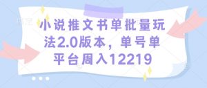 小说推文书单批量玩法2.0版本,单号单平台周入12219-识享社