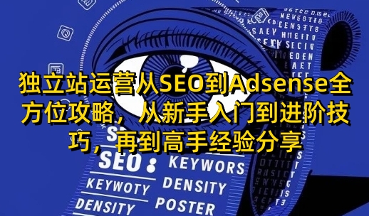 独立站运营从SEO到Adsense全方位攻略,从新手入门到进阶技巧,再到高手经验分享-识享社