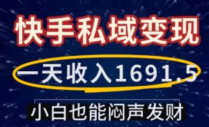 一天收入1691.5,快手私域变现,小白也能闷声发财-识享社