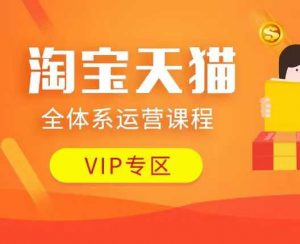 淘宝天猫全体系运营课程：店铺全系运营、动销玩法、付费推广、流量提升、擦边球玩法等等-识享社