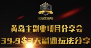 黄岛主副业分享会1期:3天3个副业玩法,速度上车-识享社