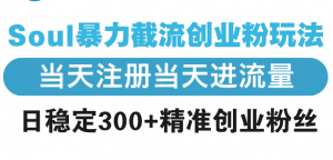 Soul暴力截流创业粉玩法，当天注册当天进流量，日稳定300+精准创业粉丝-识享社
