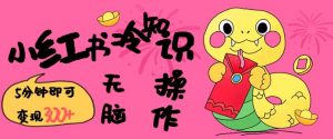 小红书冷知识账号,无脑复制粘贴,5分钟即可变现3张-识享社