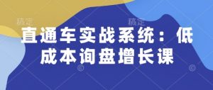 直通车实战系统:低成本询盘增长课,让个人通过技能实现升职加薪,让企业低成本获客,订单源源不断-识享社