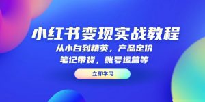小红书变现实战教程：从小白到精英，产品定价，笔记带货，账号运营等-识享社