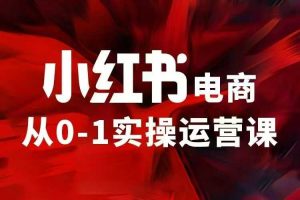 小红书电商运营,97节小红书vip内部课,带你实现小红书赚钱-识享社