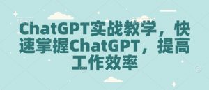 ChatGPT实战教学,快速掌握ChatGPT,提高工作效率-识享社
