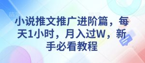小说推文推广进阶篇，每天1小时，月入过W，新手必看教程-识享社