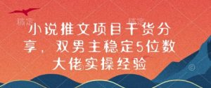 小说推文项目干货分享,双男主稳定5位数大佬实操经验-识享社