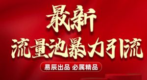 最新“流量池”无门槛暴力引流(全网首发)日引500+-识享社