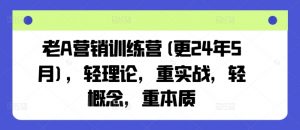 老A营销训练营(更25年1月),轻理论,重实战,轻概念,重本质-识享社