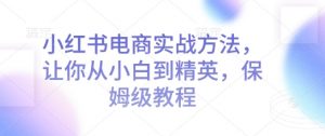 小红书电商实战方法，让你从小白到精英，保姆级教程-识享社