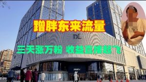 蹭胖东来流量,三天涨万粉,收益直接起飞-识享社