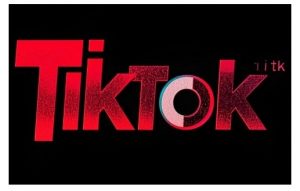 TikTok ads投流秘籍,涵盖tiktok整体投放思路,教你搭建测试计划-识享社