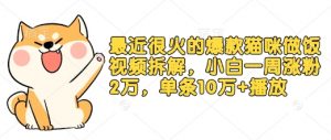 最近很火的爆款猫咪做饭视频拆解，小白一周涨粉2万，单条10万+播放(附保姆级教程)-识享社