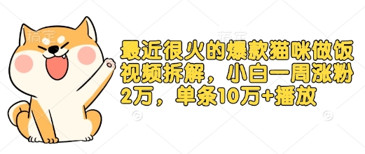最近很火的爆款猫咪做饭视频拆解，小白一周涨粉2万，单条10万+播放(附保姆级教程)-识享社