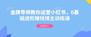 金牌导师教你运营小红书，0基础进阶赚钱博主训练课-识享社