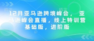 12月亚马逊跨境峰会, 亚马逊峰会直播,线上特训营基础版,进阶版-识享社