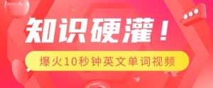 知识硬灌，1分钟教会你，利用AI制作爆火10秒钟记一个英文单词视频-识享社