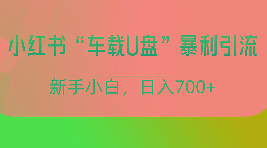 小红书“车载U盘”项目，暴利引流，新手小白轻松日入700+-识享社