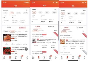 2025最新京东蓝海项目，0 门槛日入 1k+，小白宝妈轻松上手【揭秘】-识享社