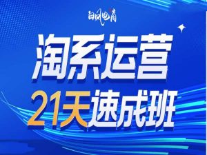 淘系运营21天速成班35期,年前最后一波和2025方向-识享社