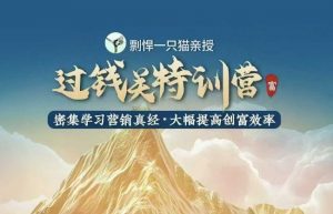 剽悍一只猫-过钱关特训营,学习营销真经 大幅度提高创富效率-识享社